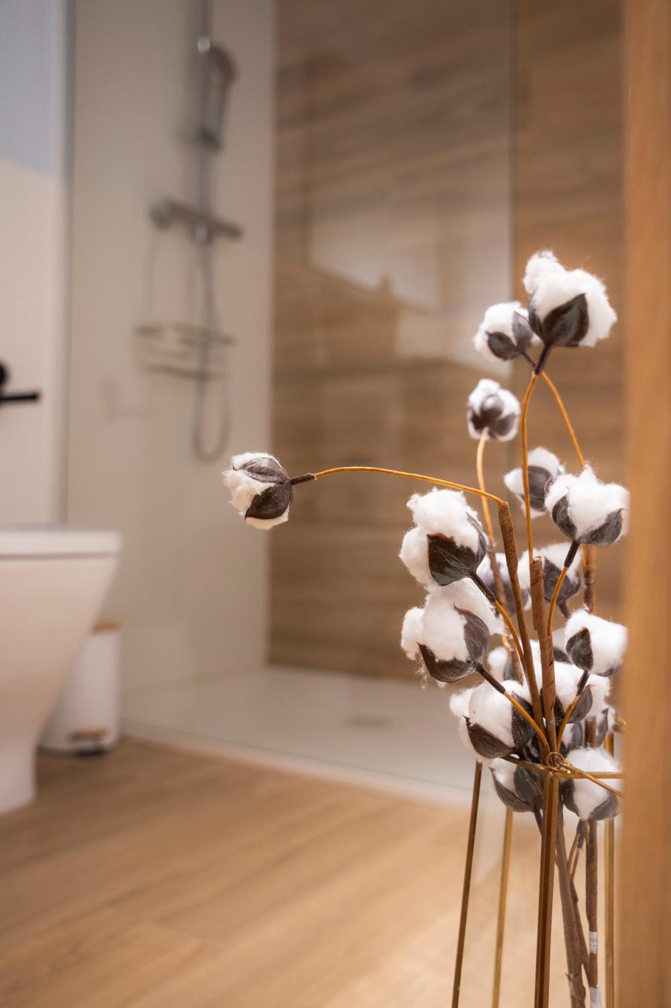 Apartamentos Alto Ubiro Liérganes Dış mekan fotoğraf